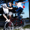 Shapeshifters_email
