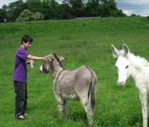 Juj_donkey_punch