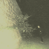 Forest_swords_l_28916770fcc741c69c139bff1d92