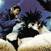 Babylon_zoo_babylon_zoo_05