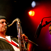 Club_des_belugas_c_gigpic