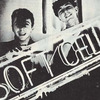 Soft_cell_misc4