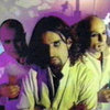 Green_nuns_of_the_revolution
