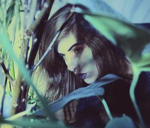 Laurel_halo_avlaurel