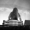 Detritus_live