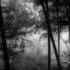 Jason_kahn_sansho_anju