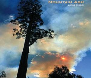 Mountain_ash
