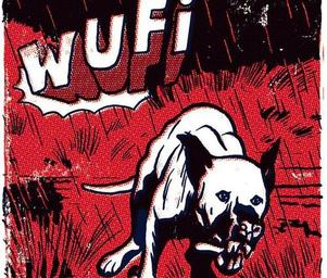 Wufi_ii