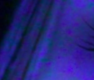 L1na_banner