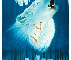 Howls_bl506