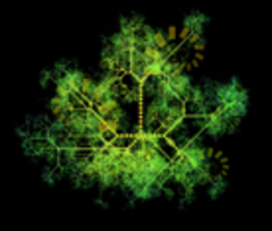 Seed_ai