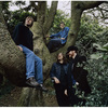 The_earlies