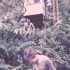 Houses_bio