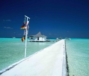 Port_blue_image107599499179rihijetty