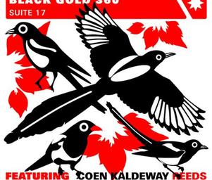 Black_gold_360_suite_17_album