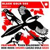 Black_gold_360_suite_17_album