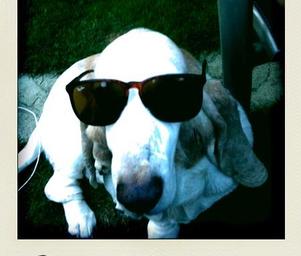 Bowski_l_60ba56c6b6764d399d155d4aa5b3