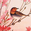 Haruki