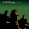 Endless_shame