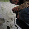 Fabio_orsi