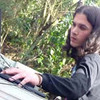 Cyber_cartel