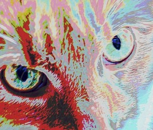 Baskyl__logo2