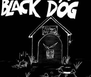 Black_dog