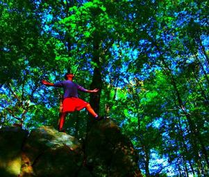 Integral_plateau_img_20101003_130430_edit0
