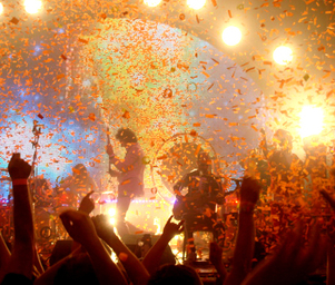 The_flaming_lips_frenzy