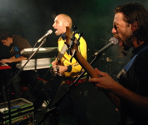 Twnkl_band_web