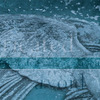 Intricated_avoid_cover