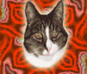 Tuh_pa_warez_psychedelisch00004
