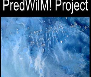 Predwilm_project_4