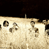 Il_rumore_del_fiore_di_carta_grano1_web