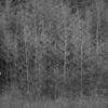Mutual_benefit_mb_small