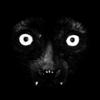 Alvin_risk_infinity1