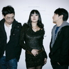 Clazziquai_bioimage