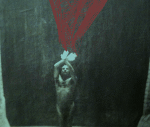 Sail_a_whale_tumblr_l5jn3ep9mv1qzywh2o1_400