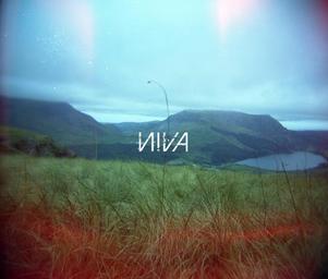 Niva__dd2
