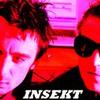 Insekt