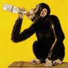 Drunken_monkey_drunkenmonkey