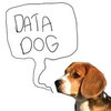 Data_dog_dogdatadog