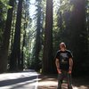Dextro__forest