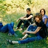 Electrelane_meadow