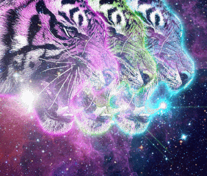 Fear_of_tigers