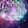 Fear_of_tigers
