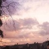 Fernando_tessis_fefefefe