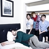 Foals