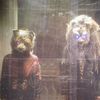 Fox_n_wolf