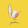 Galore_from_antwerp_belgium